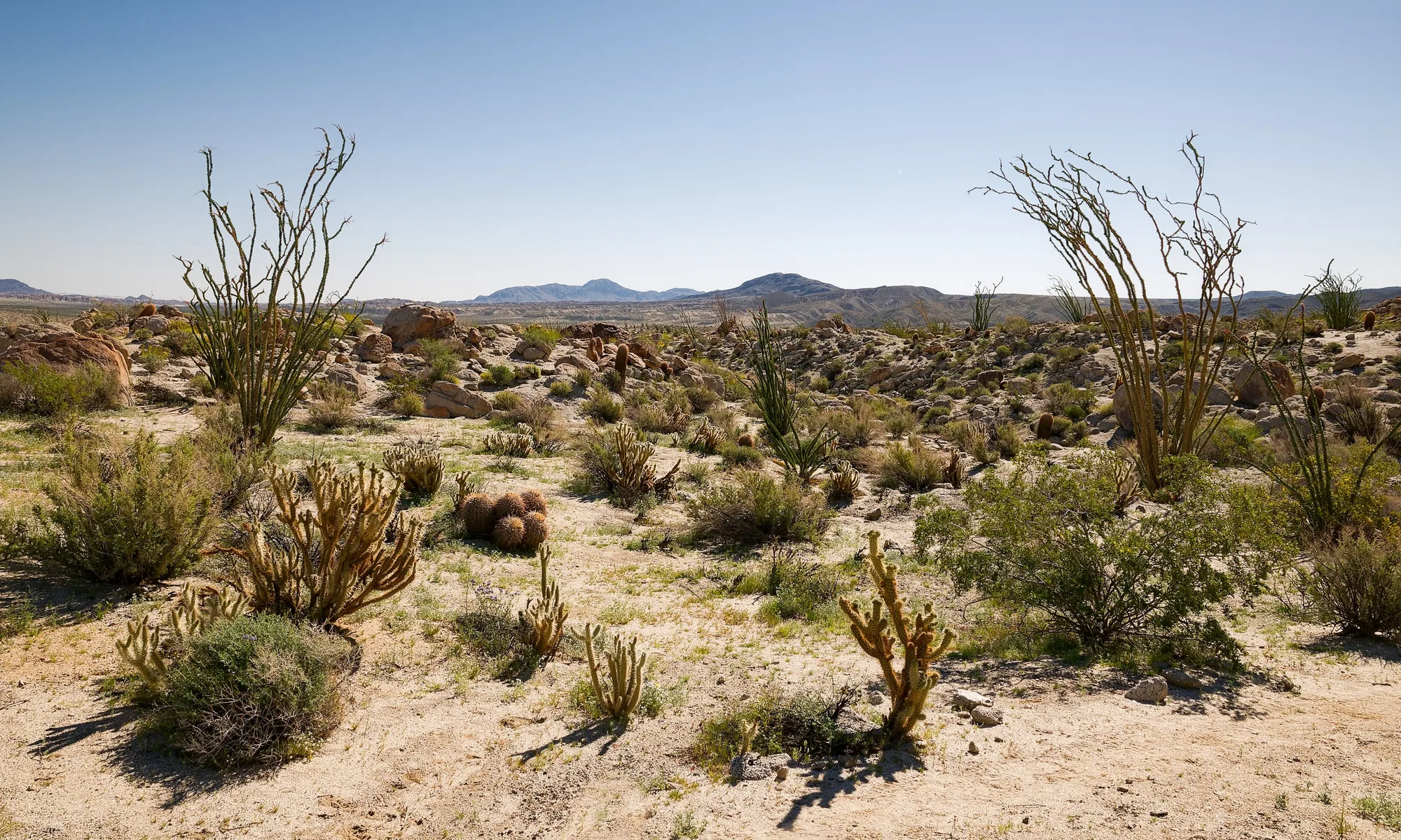 Anza-Borrego Desert State Park